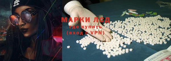 spice Аркадак