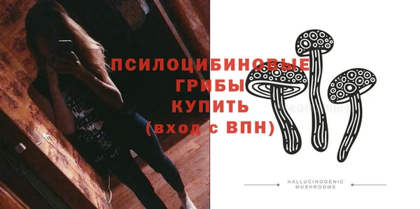 шишки Армянск